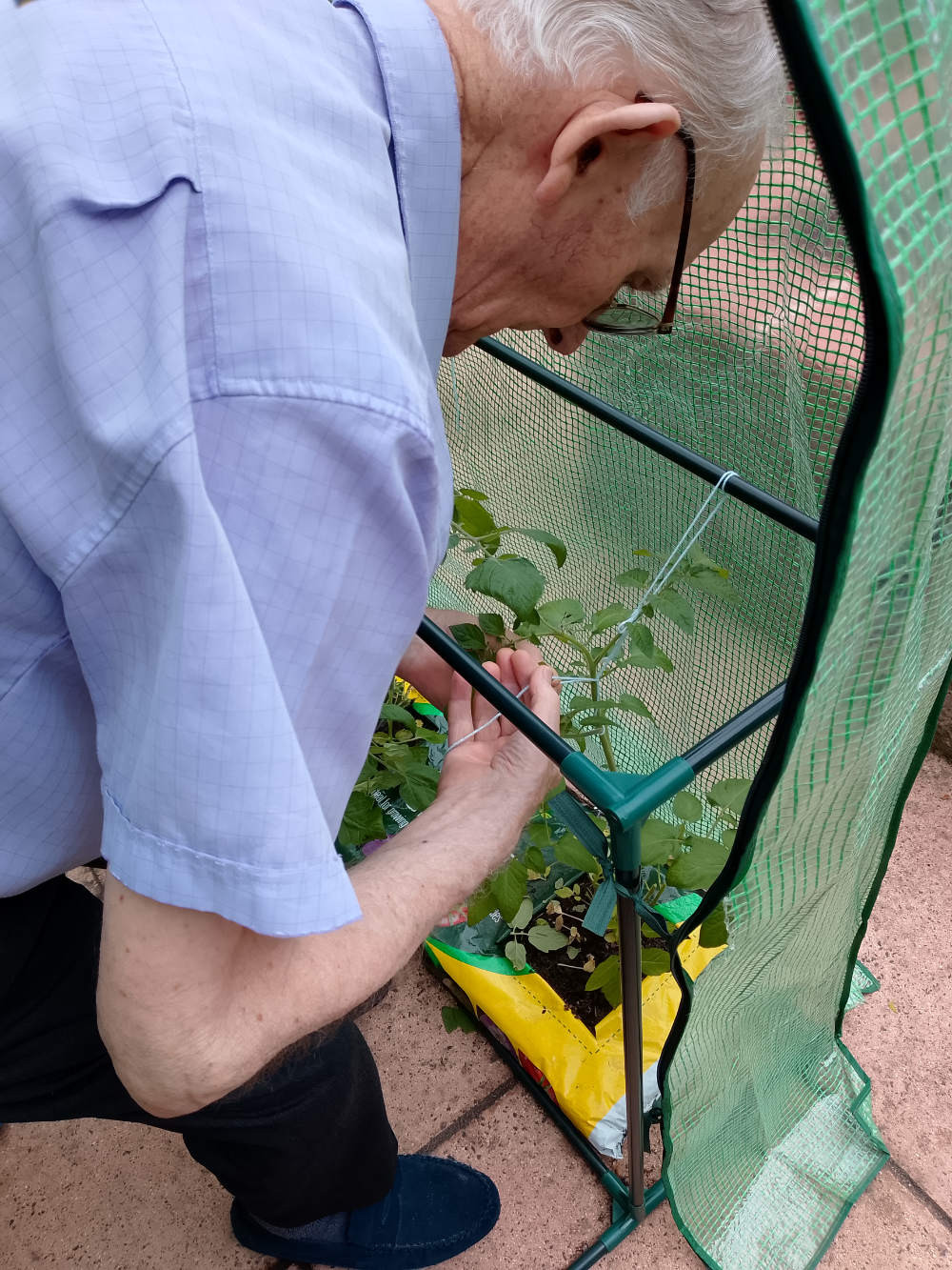 Tending plants Greenlane Care Home